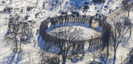 Aerial view, tree circle in Grugapark, Essen-Holsterhausen, Essen, Ruhr area, North