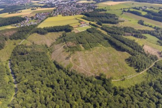 Aerial view, forest area Fürstenberg and Höinger Heide with forest damage, sports field Höingen,