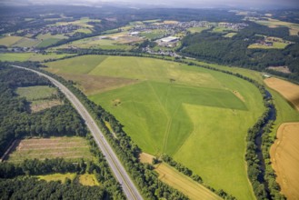 Aerial view, forest area with forest damage, motorway A445 and Ruhraue with river Ruhr in