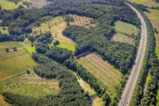 Aerial photo, Fürstenberg Füchtener Heide forest area with forest damage in Hünningen, Ense,