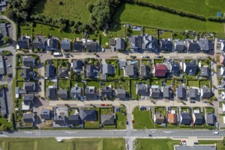 Aerial view, terraced house housing estate Dr.-Fritz-Textor-Ring in the district Büttenberg in