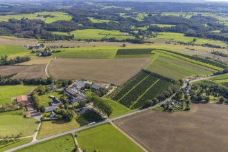 Aerial view, meadows and fields with farm Bransel in the district Königsfeld in Ennepetal, Ruhr
