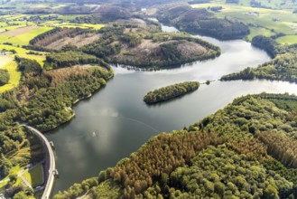 Aerial view, forest damage at the Ennepetalsperre dam and dam wall in the Altenbreckerfeld district