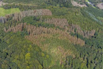 Aerial photograph, forest damage and forest dieback in the district of Rüggeberg in Ennepetal, Ruhr