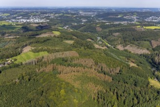 Aerial photograph, forest damage and forest dieback in the district of Rüggeberg in Ennepetal, Ruhr