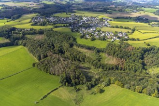 Aerial view, forest damage in the Rüggeberg district in Ennepetal, Ruhr area, North