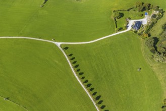 Aerial view, tree avenue Mittelhesterberg in the district Rüggeberg in Ennepetal, Ruhr area, North