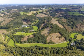 Aerial view, forest damage in the Rüggeberg district in Ennepetal, Ruhr area, North