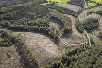 Aerial photo, forest damage in the Windgarten district of Ennepetal, Ruhr area, North