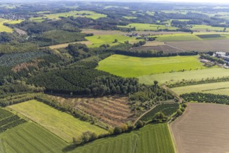 Aerial view, forest damage in the district Königsfeld in Ennepetal, Ruhr area, North