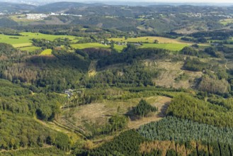 Aerial photograph, forest damage and forest dieback in the Königsfeld district of Ennepetal, Ruhr