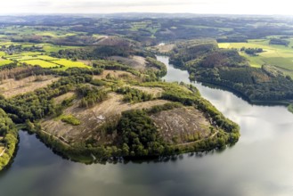 Aerial photo, forest damage at the Ennepetalsperre in the Altenbreckerfeld district of Breckerfeld,