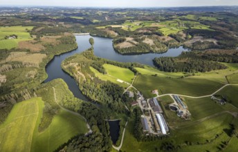 Aerial view, forest damage at the Ennepetalsperre dam with dam wall in the Altenbreckerfeld