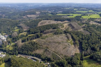 Aerial view, forest damage at the Talsperrenweg in the district Voerde in Ennepetal, Ruhr area,