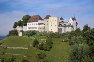 Castle of the Habsburgs, Kyburgers on an almost circular Molasse hill, Lenzburg, Canton Aargau,