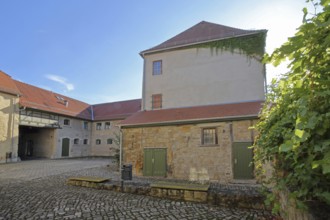 Inner courtyard of the castle built in the 16th century, grapevines, castle, Apolda, Thuringia,