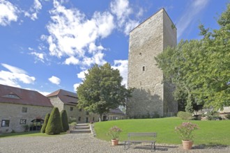 Romanesque keep of the castle, landmark, Wanzleben, Romanesque Road, Saxony-Anhalt, Germany