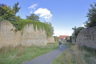 Historic town fortification, town wall, footpath, shooting ditch, pedestrian, Querfurt,
