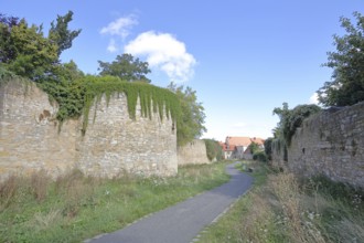 Historic town fortifications, town wall, footpath, moat, Querfurt, Saxony-Anhalt, Germany
