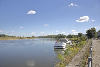 Ship at the quay of the Elbe, Elbe riverbank, landscape, Elbauenbrücke, Salzblumenplatz,