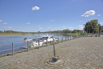 Ship at the Elbe quay, bollard, Elbe riverbank, landscape, Salzblumenplatz, Schönebeck,