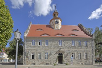 Historic town hall with spire and stepped gable, Salzlandmuseum, Museum, Bad Salzelmen, Schönebeck,