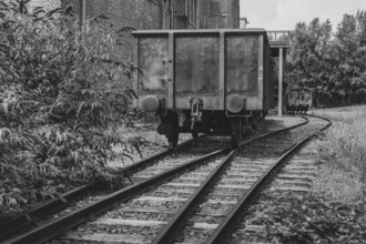 Blooming summer lilacs next to a railway carriage, black and white, LWL Museum, former mine,