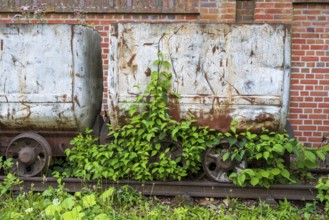 Plants in front of the wagon, coal wagon, railway wagon, LWL Museum, former mine, Hanover colliery,