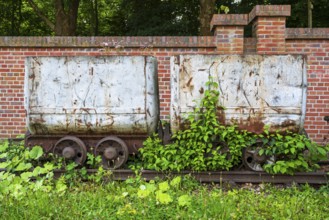 Plants in front of the wagon, coal wagon, railway wagon, LWL Museum, former mine, Hanover colliery,