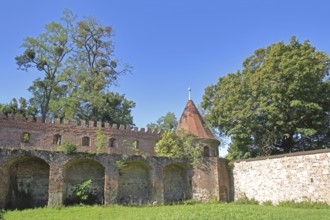 Historic town wall with defence defence tower, tower, town fortification, Dornburger Tor,
