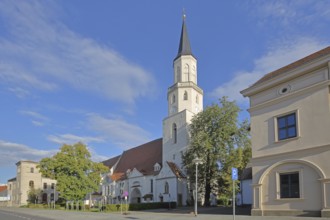 Romanesque St Nicolai Church, Coswig, Fläming, Saxony-Anhalt, Germany