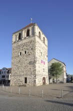 Historic Dicker Turm, town tower, Zerbst, Fläming, Saxony-Anhalt, Germany