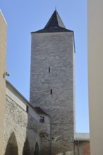 Historic witches' tower, town tower, Calbe, Saxony-Anhalt, Germany