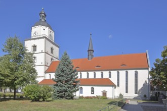 Early Gothic St Mary's Church, Barby, Saxony-Anhalt, Germany
