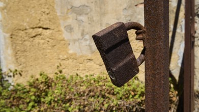 Rusted lock on a metal post in front of a weathered wall with plants in the background, Old silk