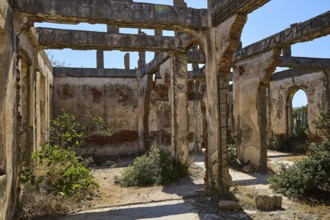 Ruined interior of a building with brick columns and wild vegetation, Old silk factory, German