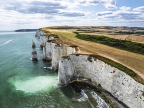 White Cliffs of Old Harry Rocks Jurassic Coast from a drone, Handfast Point, Dorset Coast, Poole,