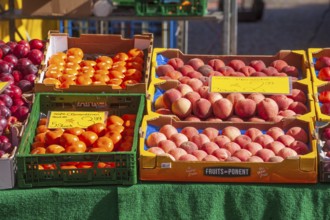 Necatarines and fresh fruit in crates with price tags on a market stall, Bremen, Germany