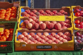Necatarines and fresh fruit in crates with price tags on a market stall, Bremen, Germany