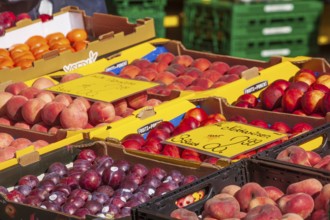 Fresh fruit in crates with price tag on a market stall, Bremen, Germany