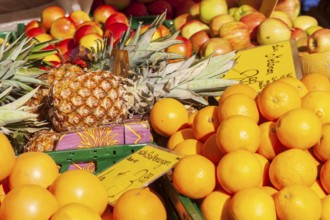 Fresh fruit on a market stall, Bremen, Germany