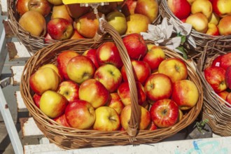 Fresh apples and fresh fruit in baskets in front of a greengrocer's shop, Bremen, Germany