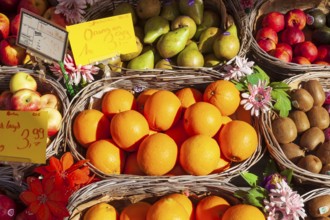 Oranges and fresh fruit with price tags in baskets in front of a greengrocer's shop, Bremen,