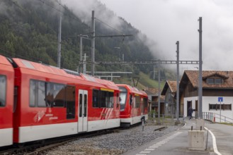 Metre-gauge electric low-floor multiple-unit trains of the Matterhorn-Gotthard Railway (MGB) ORION