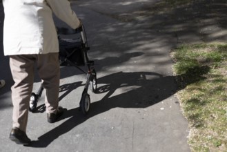 Senior citizen walks in the park in the sunshine and casts a shadow on the ground, Cologne, North
