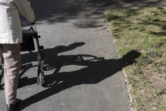 Senior citizen walks in the park in the sunshine and casts a shadow on the ground, Cologne, North