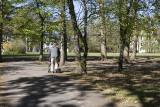 Senior walking in the park with his rollator in the sunshine, Cologne, North Rhine-Westphalia,