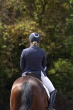 Close-up of horse and rider with equipment from behind during a dressage competition at a horse