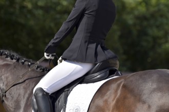 Close-up of horse's back, saddle and rider's seat during a dressage test at a horse show,