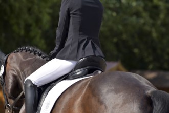 Close-up of horse's back, saddle and rider's seat during a dressage test at a horse show,